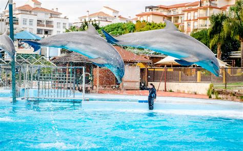 fuengirola selwo|The best wildlife parks in Andalusia 